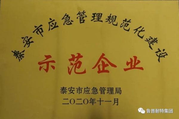 鲁普要闻丨鲁普耐特集团协泰安市应急执法部门共同构建企业安全发展的坚实防线